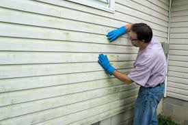 Best Siding Removal and Disposal  in Albany, WI